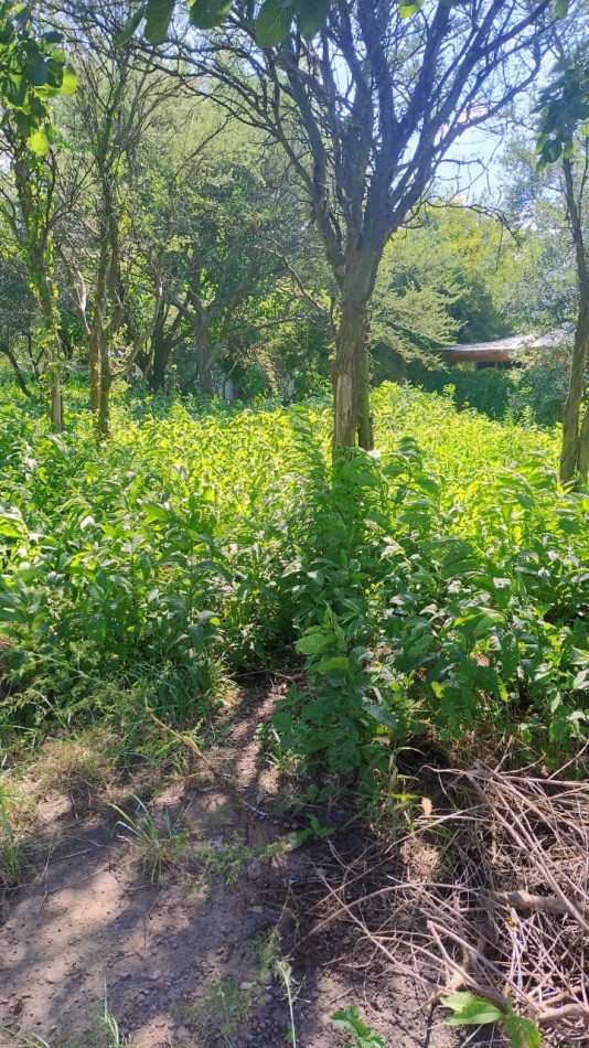 LOTE ESQUINA EN VENTA , TALAR DE MENDIOLAZA!!!!!!