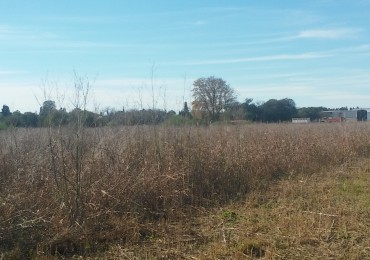 SE VENDEN 3 FRACCIONES DE TERRENO EN VILLA ESQUIU